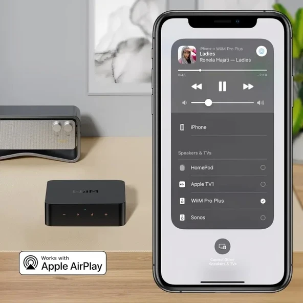 WiiM Pro AirPlay 2 - WiFi Çok Odalı Yayıncı Chromecast - 5