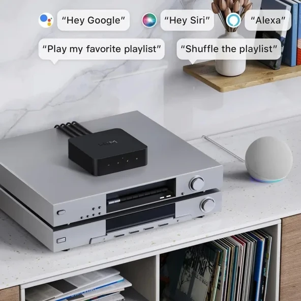 WiiM Pro AirPlay 2 - WiFi Çok Odalı Yayıncı Chromecast - 10