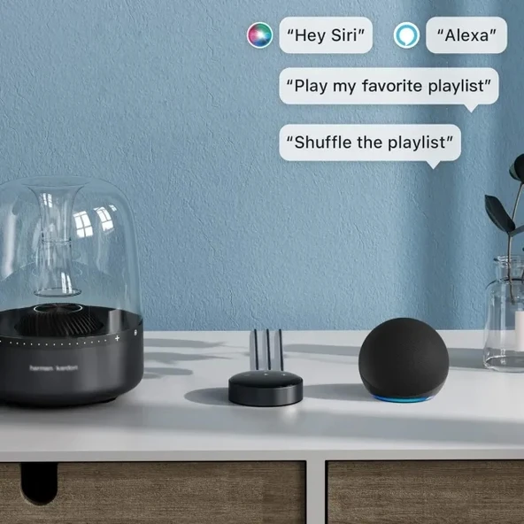 WiiM Mini AirPlay2 Kablosuz Ses Aktarıcı - 6