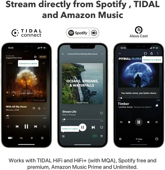 WiiM Pro AirPlay 2 - WiFi Çok Odalı Yayıncı Chromecast - 9