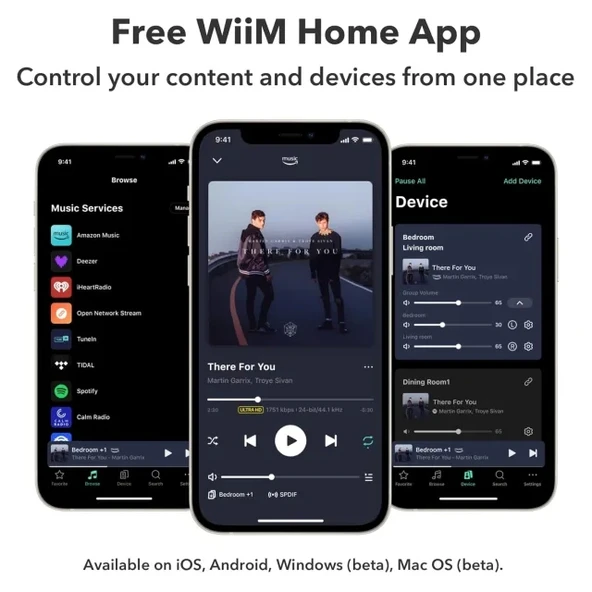 WiiM Amp: Çok Odalı Yayın Amplifikatörü - Chromecast - 6