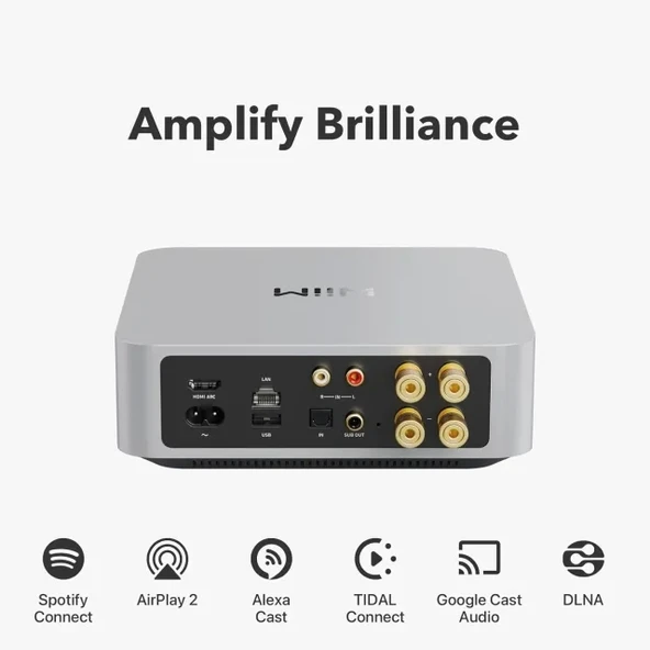 WiiM Amp: Çok Odalı Yayın Amplifikatörü - Chromecast - 8