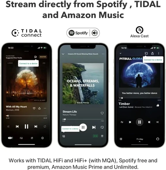 WiiM Mini AirPlay2 Kablosuz Ses Aktarıcı - 5