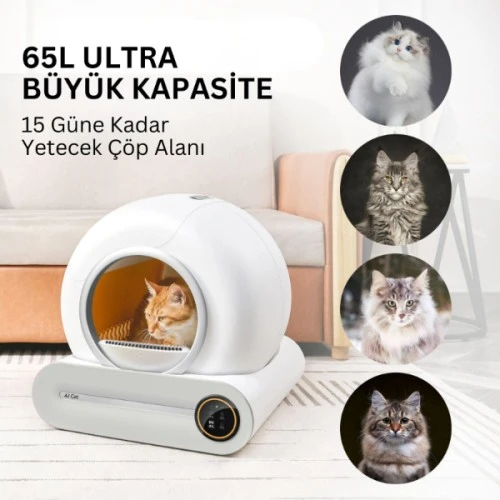 Akıllı Otomatik Kedi Tuvaleti - Resim 4