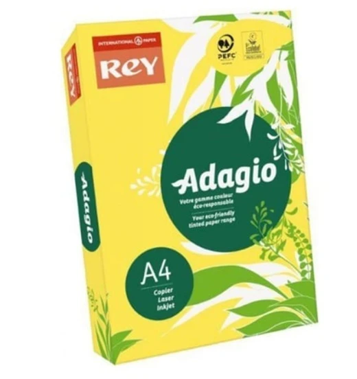 Rey Renkli Fotokopi Kağıdı A4 80 Gr 500Lü Sarı - 2 paket