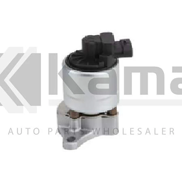 5851009 EGZOS GERİ BESLEME VALFİ OPEL (X2.5XE) İTHAL