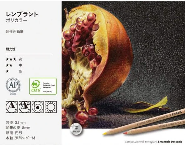 LYRA Rembrandt Polycolor 72'li Kuru Boya - 4