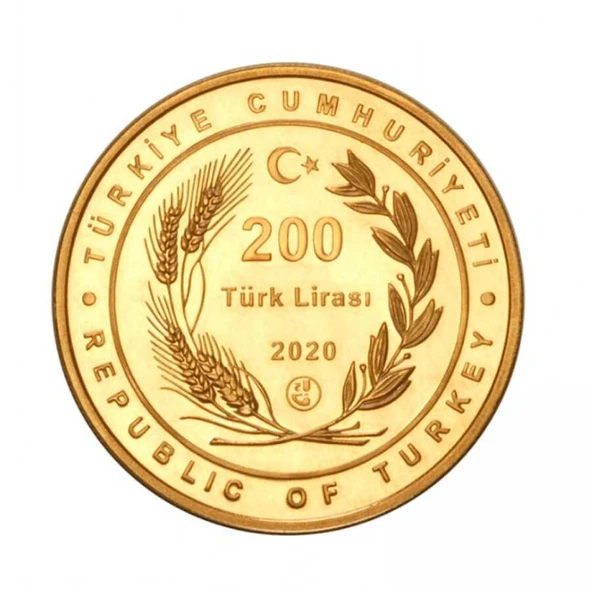 AgaKulche Ayasofya 22 Ayar 916 Altın Hatıra Para - 2