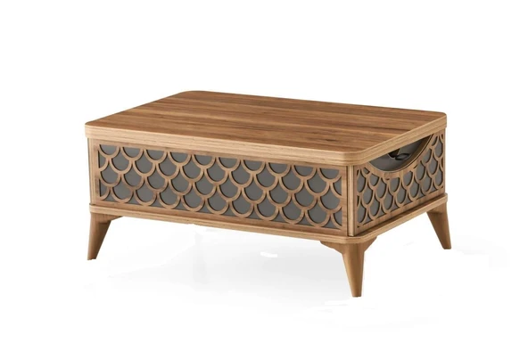 Vezir 5 Kademeli Çekmeceli Akıllı Sihirli Orta Sehpa 60x90 - 8