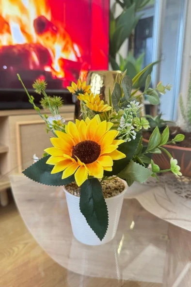 Nettenevime Yapay Çiçek Ay Çiçeği Aranjmanı Beyaz Plastik Saksılı 25cm Dekoratif Süs Çiçeği - Resim 4