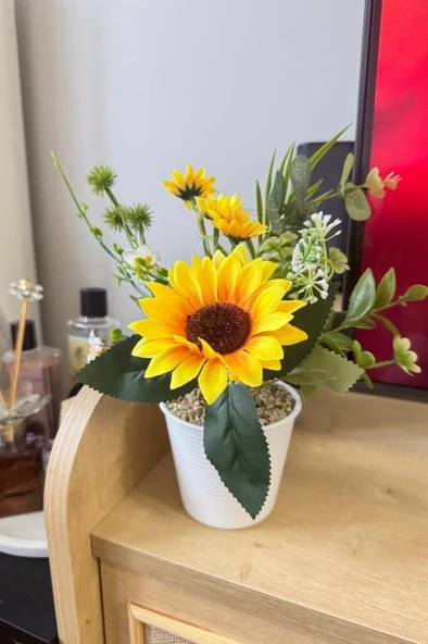 Nettenevime Yapay Çiçek Ay Çiçeği Aranjmanı Beyaz Plastik Saksılı 25cm Dekoratif Süs Çiçeği - Resim 3