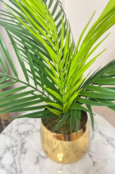 Nettenevime Yapay Çiçek Palmiye Areka Yapay Bitki Gold Metal Saksı Salon Çiçeği 9 Yaprak 50cm - Resim 4