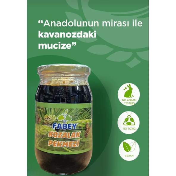 Fabey Kozalak Pekmezi 420g