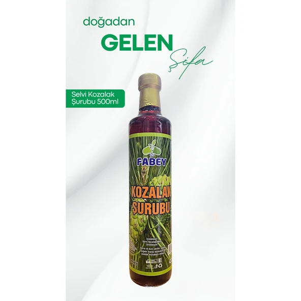 Fabey Selvi Kozalak Şurubu 500ml