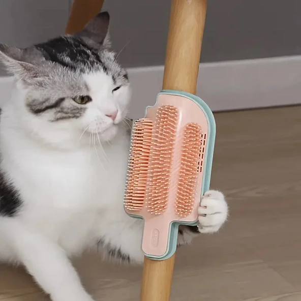 TİNEKE Dondurma Şeklinde Taranma Ve Kaşınma Aparatı - 2