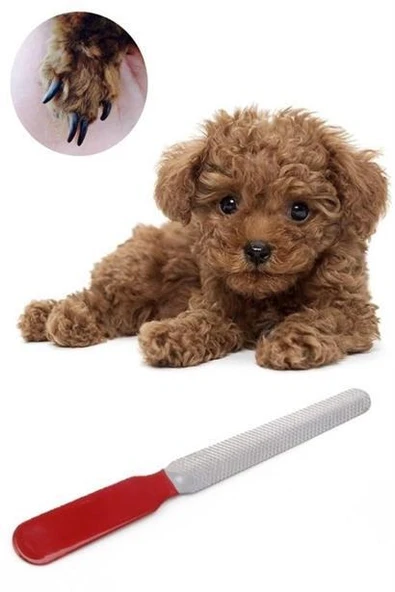 Evcil Hayvan Tırnak Makası Ve Törpü Seti Manikür Pedikür Pati Bakım Aleti Kaymaz Sap - 11