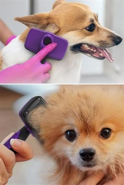 Otomatik Temizlenebilen Tuşlu Pratik Kedi Köpek Tüy Toplama Fırçası - 12