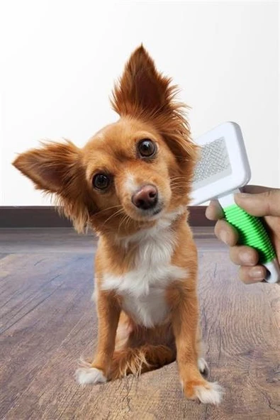 Kedi Köpek Telli Küçük Boy Tüy Bakım Seti Evcil Hayvan Tarama Fırçası - 11
