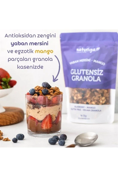 Naturiga Glutensiz Yaban Mersini Mango Granola 250gr - 2