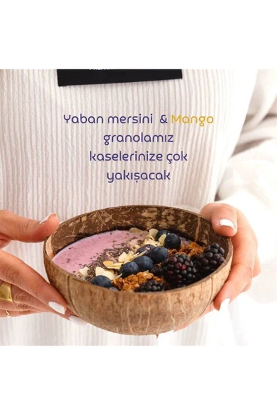 Naturiga Glutensiz Yaban Mersini Mango Granola 250gr - 3