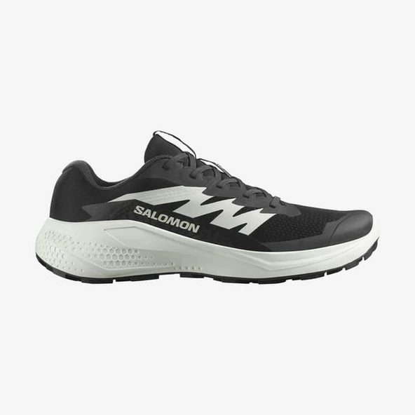 Salomon ALPHAGLIDE Erkek Ayakkabısı L47801000