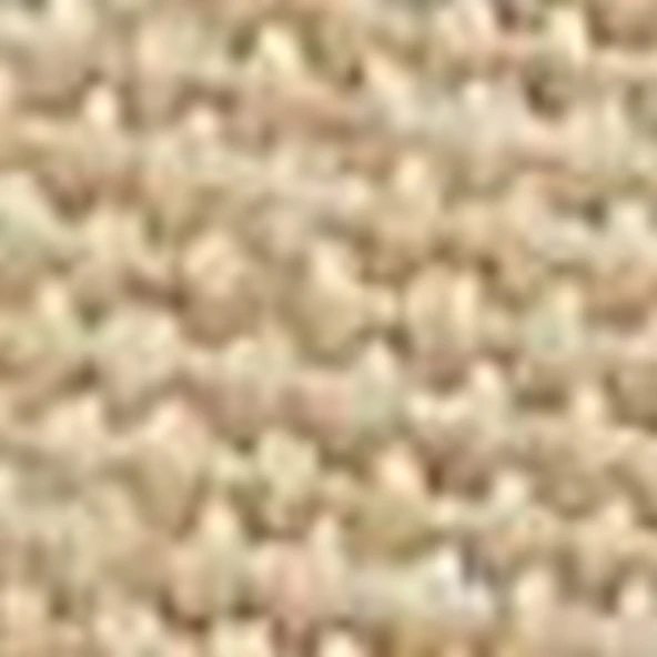 Timberland SOUNDVIEW Canvas Embroidered Cap Unisex Şapka TB0A61UJY941 - Resim 2