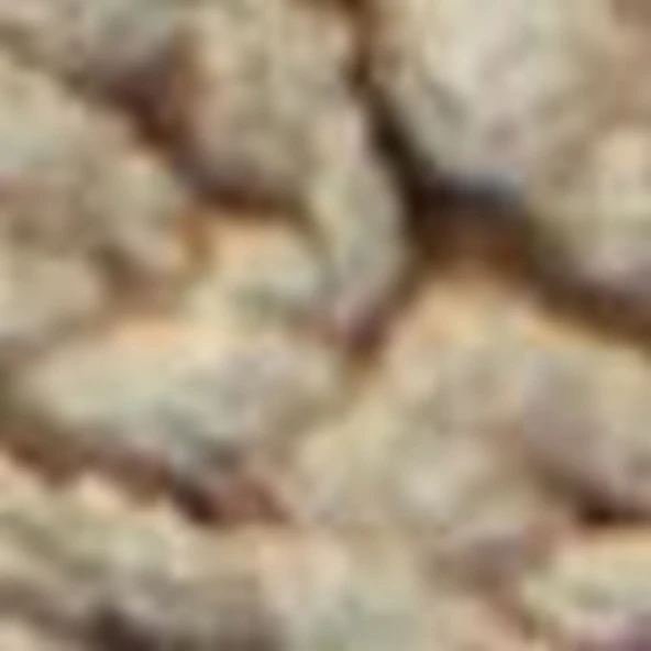 Timberland MOTION ACCESS LOW LACE UP SNEAKER Erkek Ayakkabı TB0A6DJKEY41 - 3