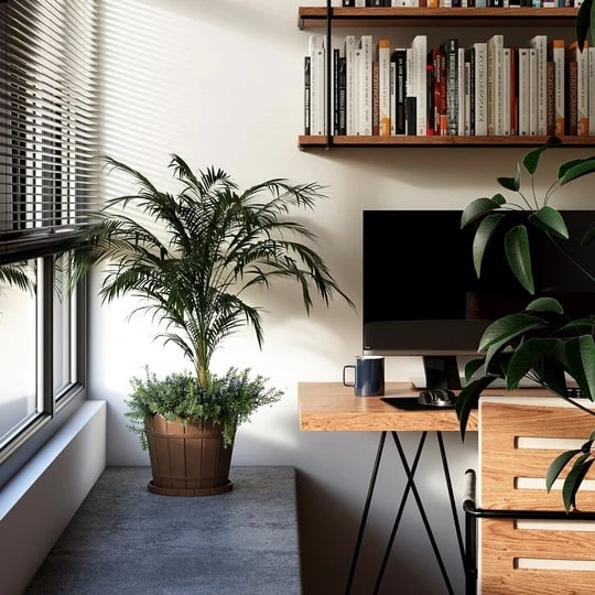 Lider Lüx  Küçük Balkon Saksısı Yuvarlak Saksı Tabağı Dahil - 4