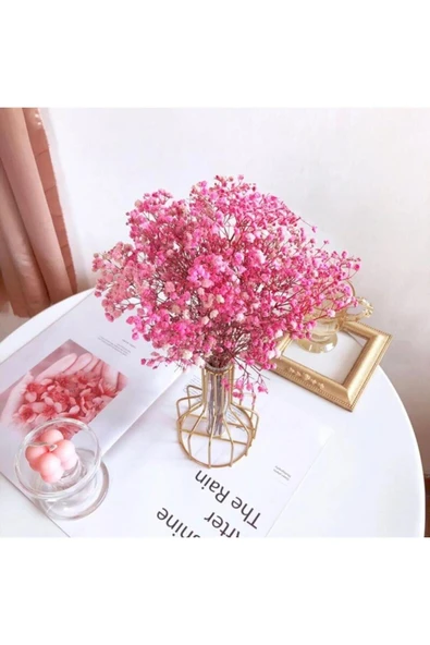 Kuru Çiçek Doğal AÇIK PEMBE Cipso  1. Kalite Şoklanmış Bozulmaz - Resim 2