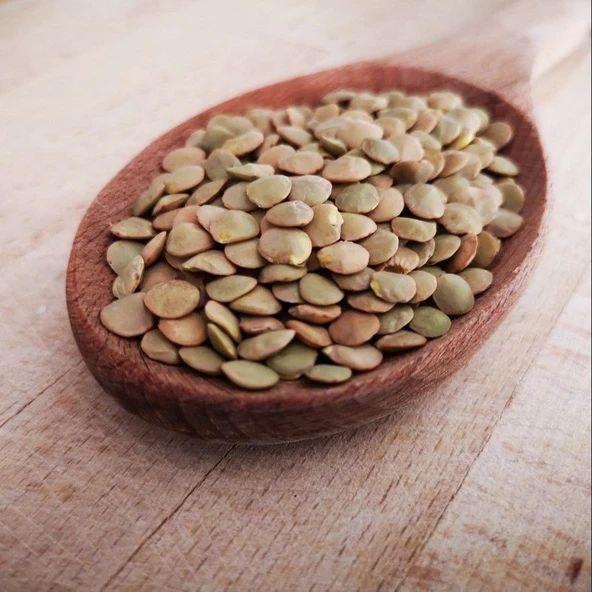 Ata Tohumları Geleneksel Yeşil Mercimek Tohumu (20 Tohum) ürün görseli