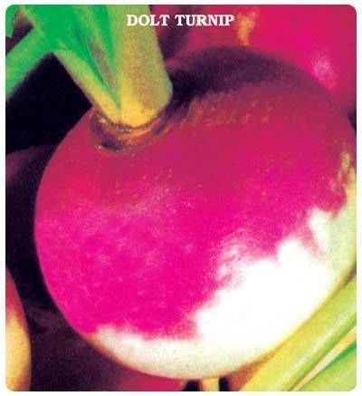 Ata Tohumu Geleneksel  Şalgam Tohumu (50 Adet Tohum) ürün görseli