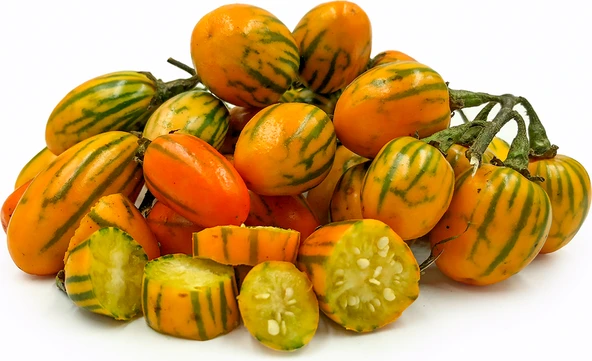 Striped Tago Patlıcan Tohumu (15 tohum) ürün görseli