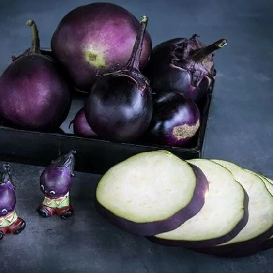 Kamo Patlıcan Tohumu (15 tohum) ürün görseli