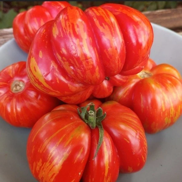 Striped Cavern Çizgili Domates Tohumu (15 tohum) ürün görseli