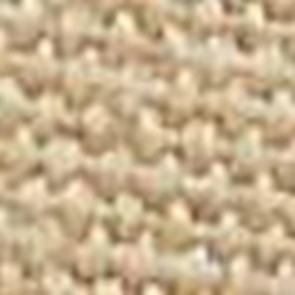 Timberland SOUNDVIEW Canvas Embroidered Cap Unisex Şapka TB0A61UJY941 - Resim 4