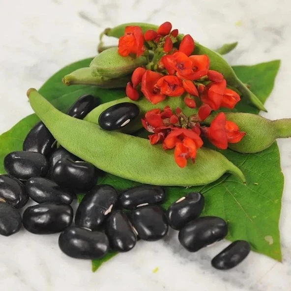 Geleneksel Malezya Siyah Sırık Fasulye Tohumu (10 tohum)