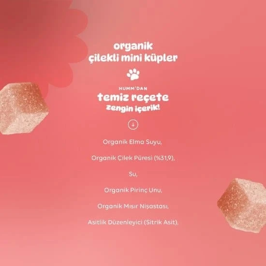 Nessiworld Humm Organik Çilekli Glutensiz Vegan Mini Küpler 30 Gr - 4
