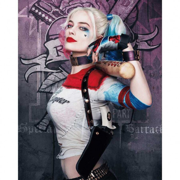 Harley Quinn 2 Sayılarla Boyama Seti