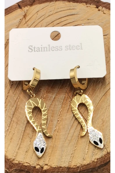 Çelik  Lüks Tasarım Küpe