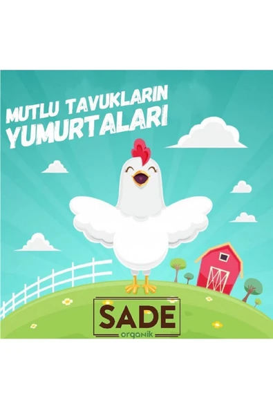 Sade Organik 30'lu Yumurta - 5