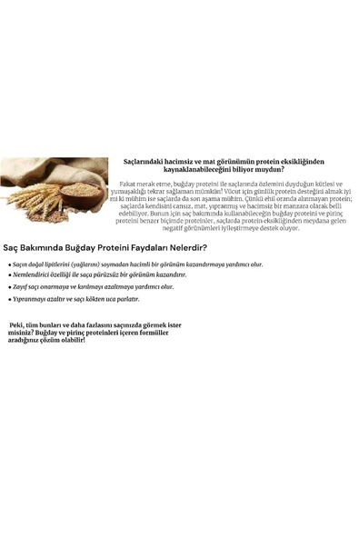 Dalan Zeytinyağlı Şampuan Onarıcı Bakım 400 ml - Resim 3