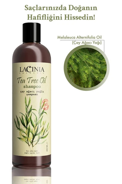 Lacinia Çay Ağacı Yağlı Şampuan 400 Ml - Resim 4