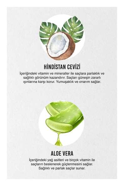 Urban Care Pure Coconut&aloe Vera Boyalı Saçlara Özel Renk Koruyucu Saç Bakım Kremi-250ml-vegan - 4
