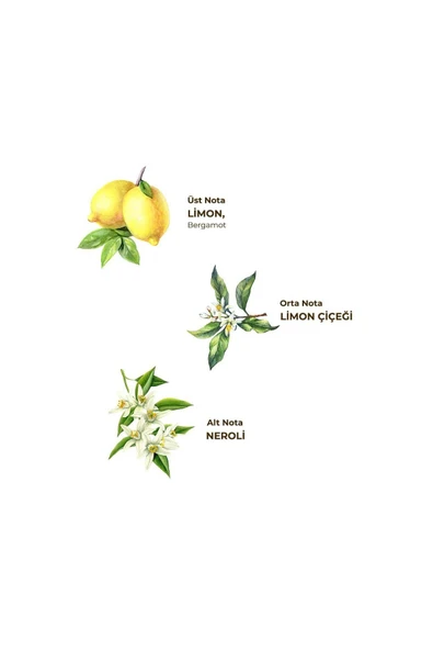 Eyüp Sabri Tuncer Klasik Limon Kolonyası 1 lt - Koruma Kilitli Kapak - 2