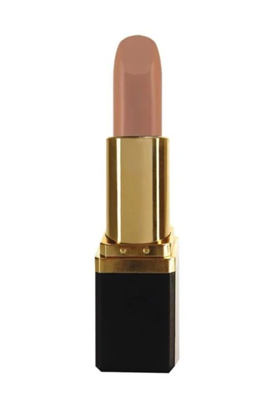 Pastel Ruj - Lipstick Classic No: 11 8690644004070