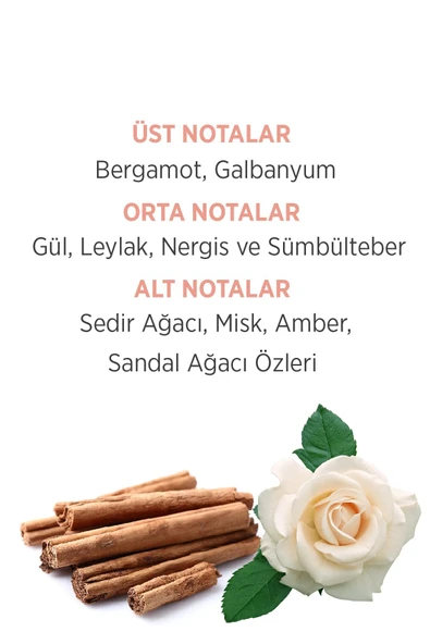 Emotion Fresh Bouqet Edt 50 ml ve  Deodorant Kadın Parfüm Seti 150 ml - Resim 3