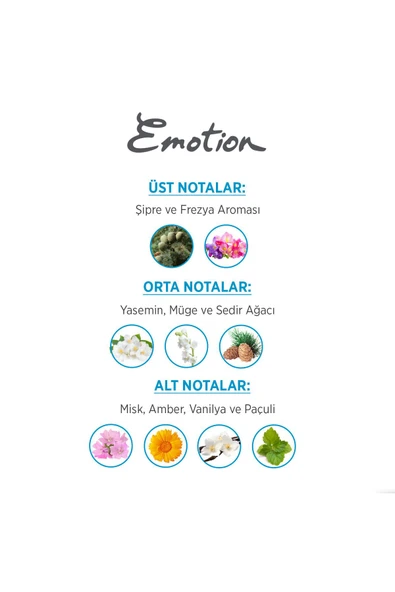 Emotion Ocean EDT Fresh Parfüm 50ml - Resim 4