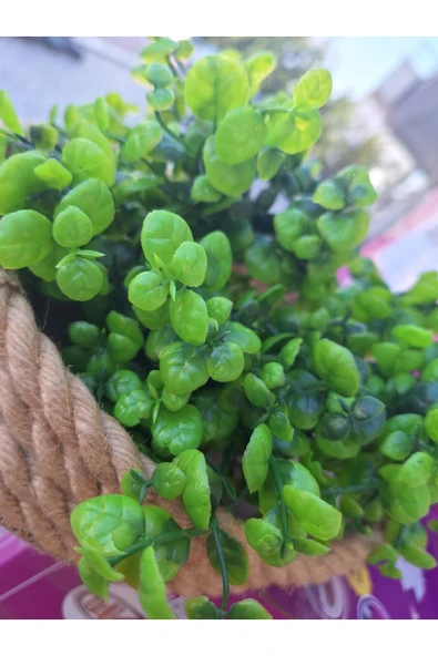 YASİMA1 ADET  MİNİK YAPRAKLI YEŞİL  YAPAY ÇİÇEK EV DEKORASYON ARANJMAN DEKOR BALKON 30 CM - Resim 2