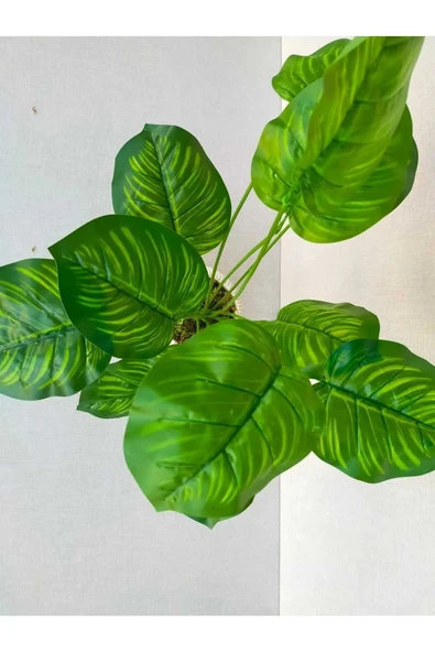 Yapay Salon Çiçeği Difenbahya 12 Dallı 52 Cm -difenbahya - Resim 2