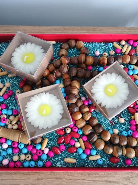 PAPATYA MUM SEVİMLİ - 2